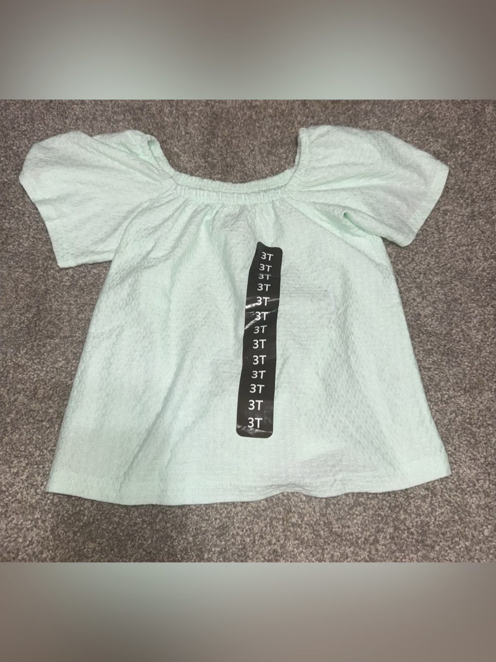 NWOT- Member’s Mark Girls Mint Green Flutter Sleeve Top | Size: 3T